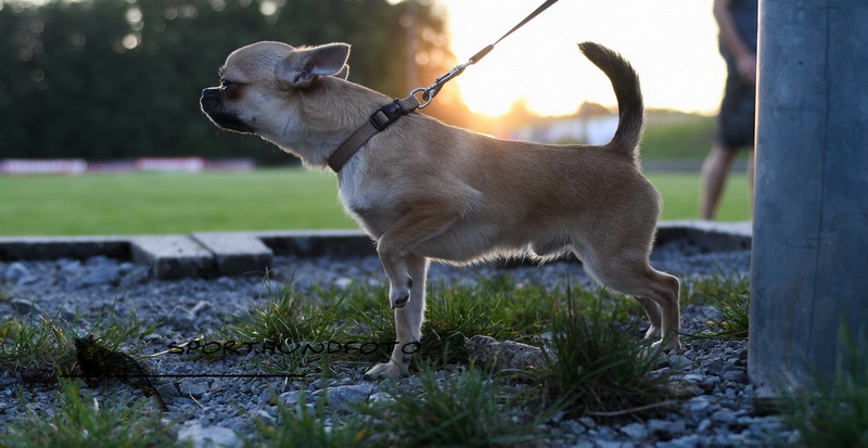 Impressionen 518.jpg